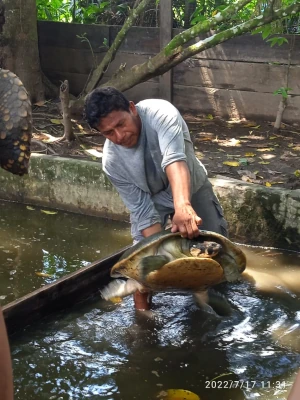 iqutos amazonas tours